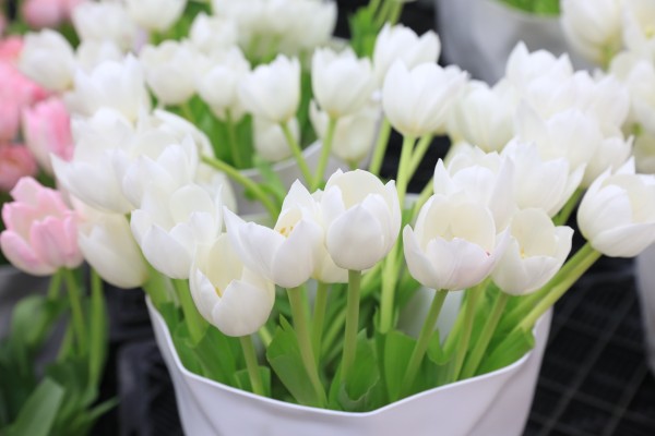 森林花海亲子游攻略,森林公园亲子游推荐