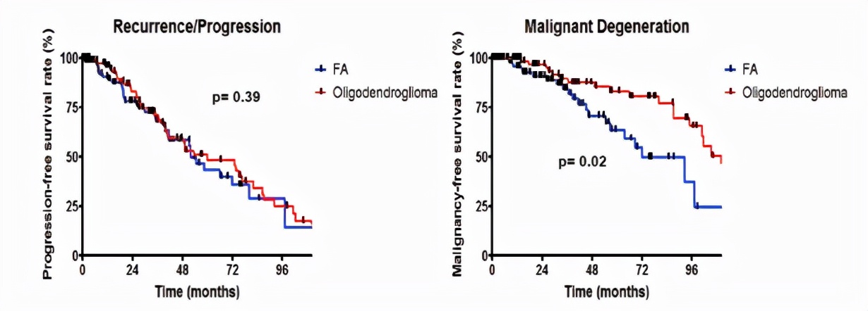 胶质瘤四级从开始就是四级吗,胶质瘤二级会不会升三级