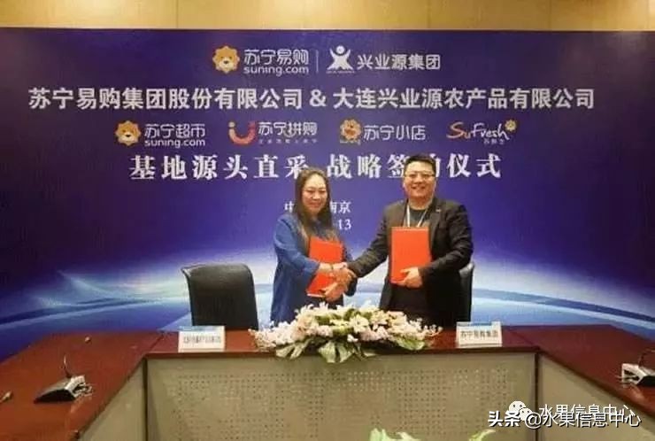 水果市场打拼的女人,卖水果的女人们