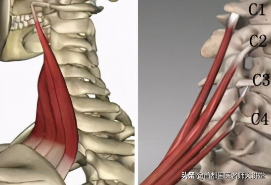 董福慧治疗图,董福慧名老中医