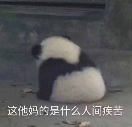 大哥有个大胆的想法表情包,大胆说出你的想法表情包