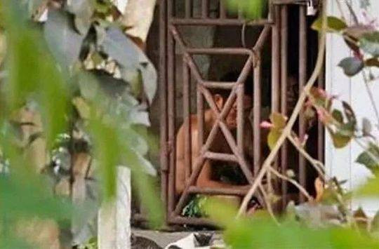 “19岁,她在暗网被30万欧元拍卖”