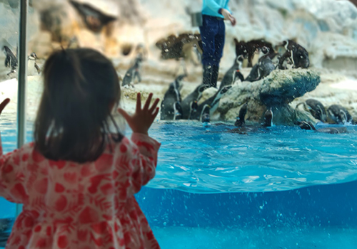 快乐星球的童星现在还在演艺圈吗,快乐星球中女童星长大后的照片