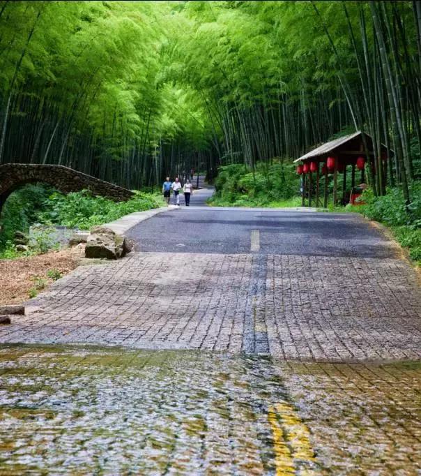 亚洲宜居城市排名2019,中国唯一一个国际评选的宜居城市