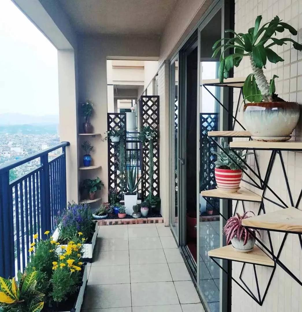 中农富玉大事记,中农富玉未来发展趋势