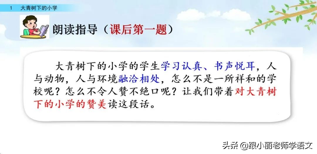 大青树下的小学重要背诵内容,大青树下的小学重点知识点