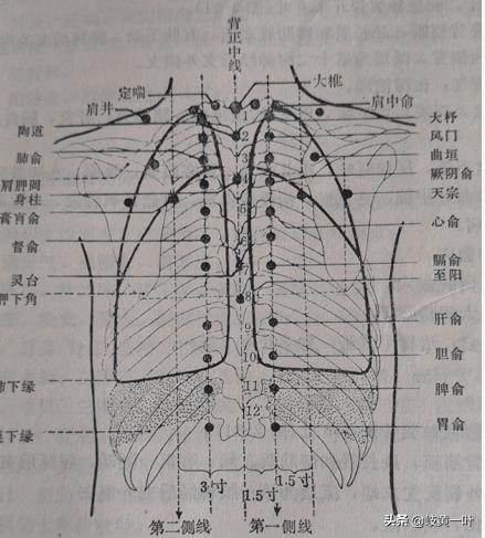 感冒的穴位图解大全,专治感冒的穴位