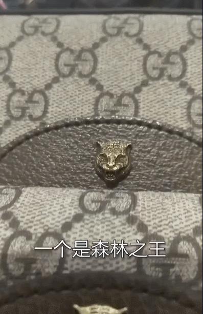 穷人背再贵的包别人也觉得是假的,当别人问我为什么背那么贵的包