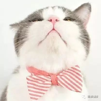 一分钟辨别孩子是多动症还是好动,如何快速判断孩子是不是多动症