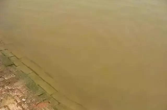 如何快速解决水体浑浊问题,处置水质的100种方法