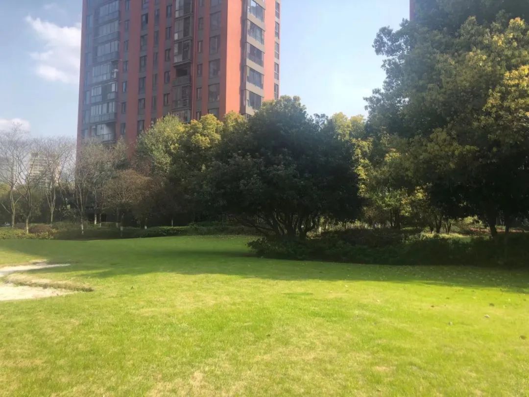 河西中二手房推荐,二手房成交价突破6万