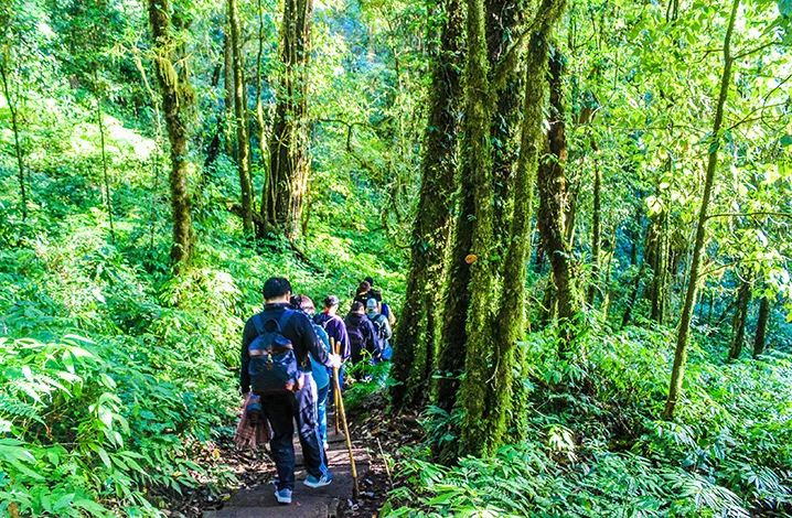 清迈旅游攻略详细教程,清迈旅游攻略自由行攻略