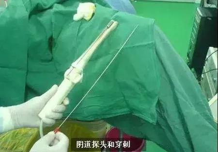 拜金的代价知乎,拜金的代价小说