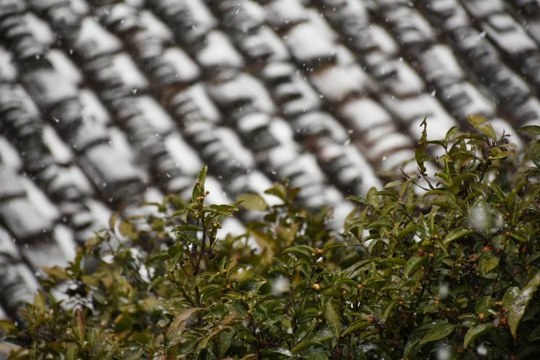 疫情肆意蔓延是什么意思,疫情为什么那么多地方管控