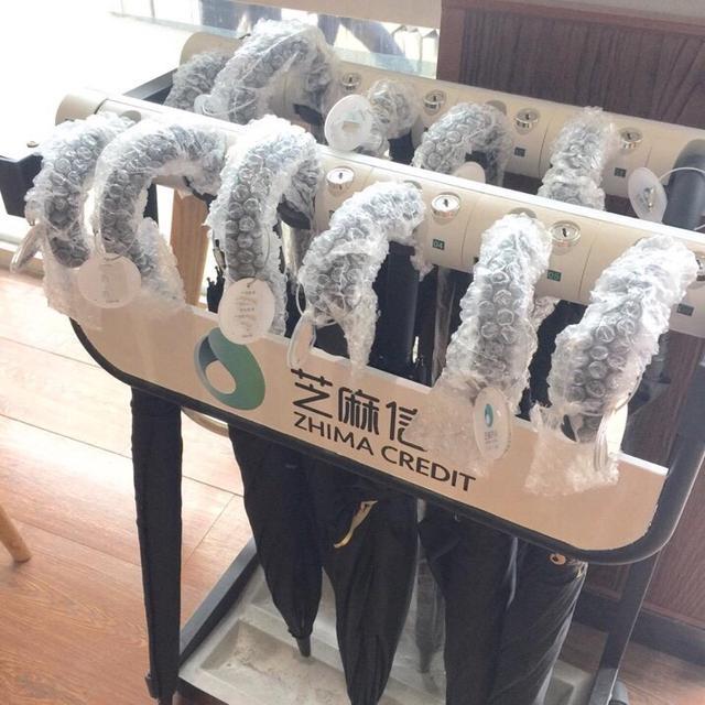 为什么支付宝芝麻信用分进不去,支付宝芝麻信用分怎么不动了