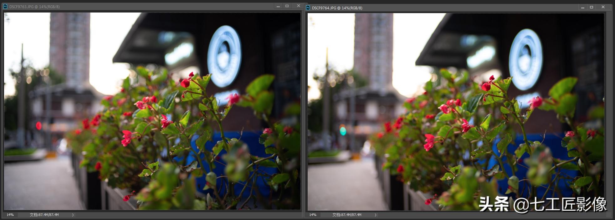 永诺50mmf1.8和七工匠35mmf1.4,七工匠人文镜头