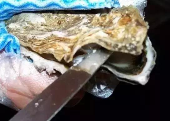 海鲜不可以吃的是哪些,各种海鲜应该吃的部位