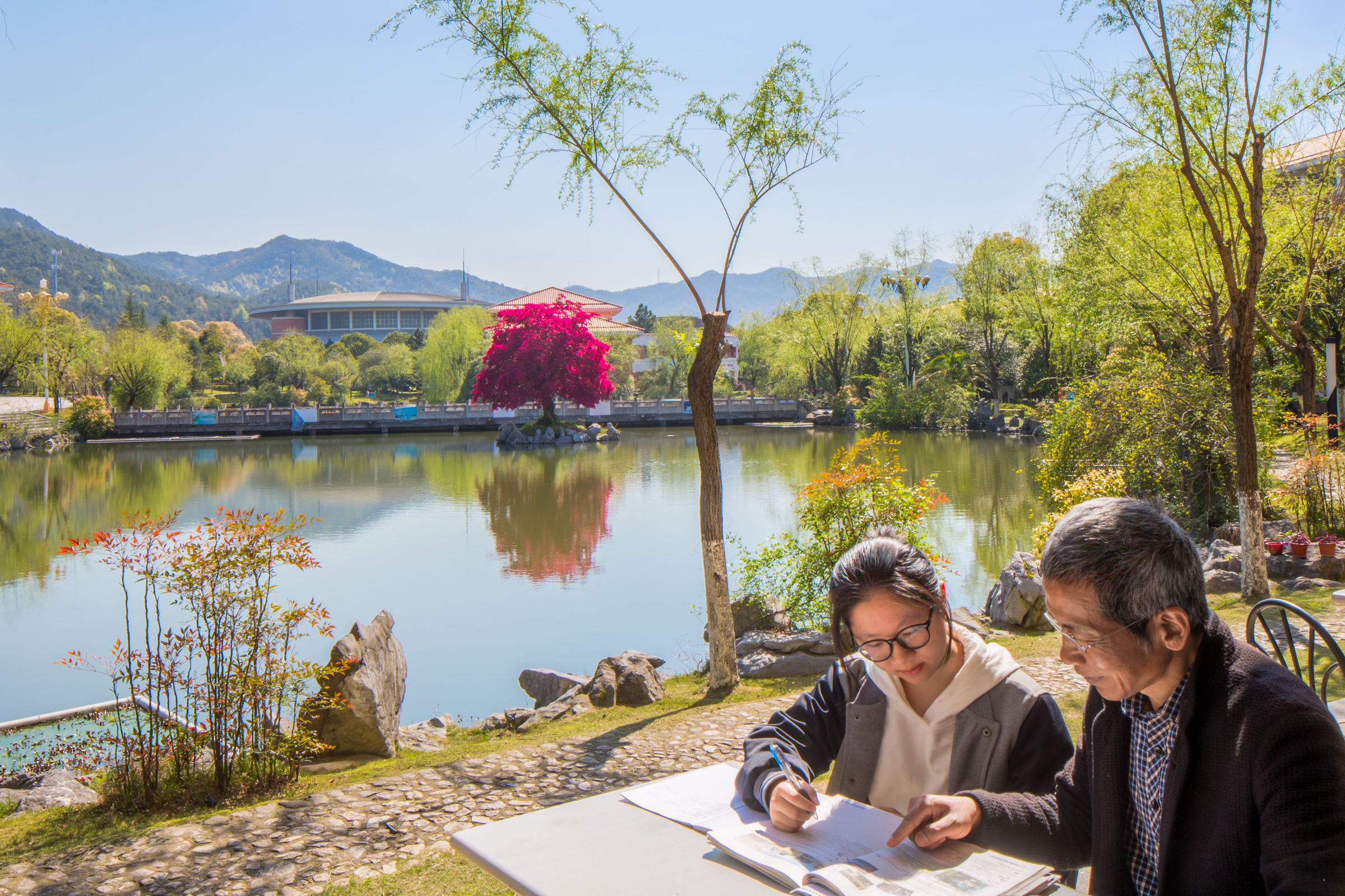 满园春色关不住,义乌中学内的一株红花檵木赢得老师纷纷赋诗赞美