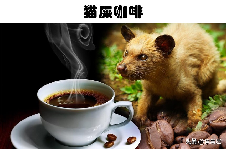 昂贵的进口饮料,五大世界上最难喝的饮料