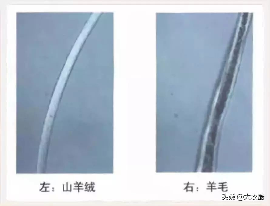 别傻乎乎分不清“羊绒大衣”和“双面呢大衣”,为什么差别10倍?