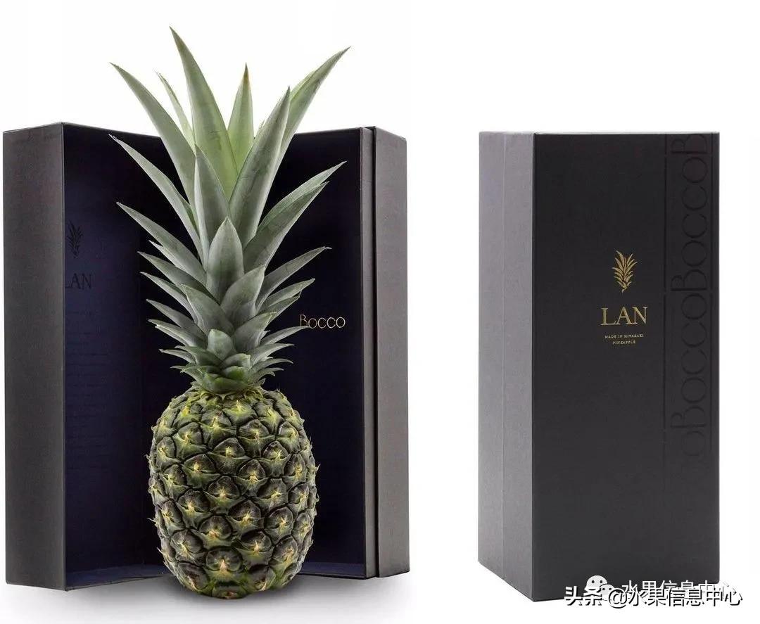 日本农业发达到什么程度?荔枝、香蕉、菠萝竟然用温室来种