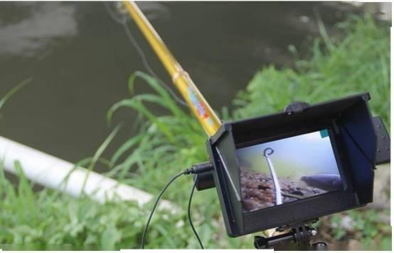 无视野锚鱼,为啥不禁止锚鱼