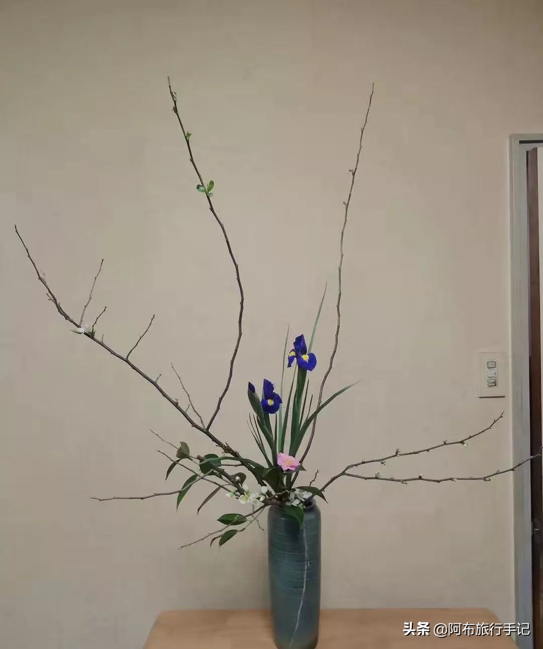 极简日语生存指南:日本旅行想收获更多,会这几句有用