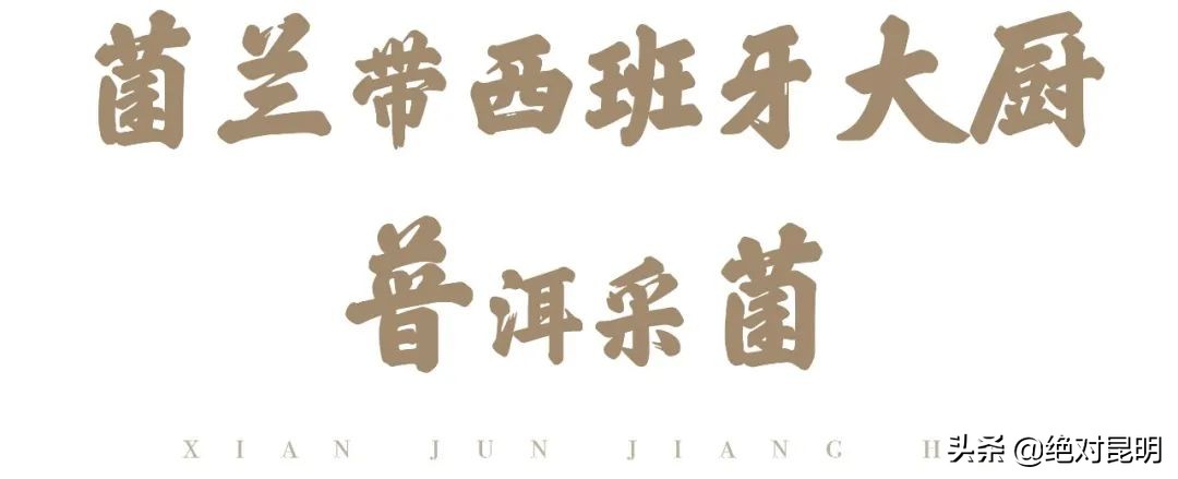 她带西班牙大厨上山捡菌，回昆明后煲出美味红菇汤