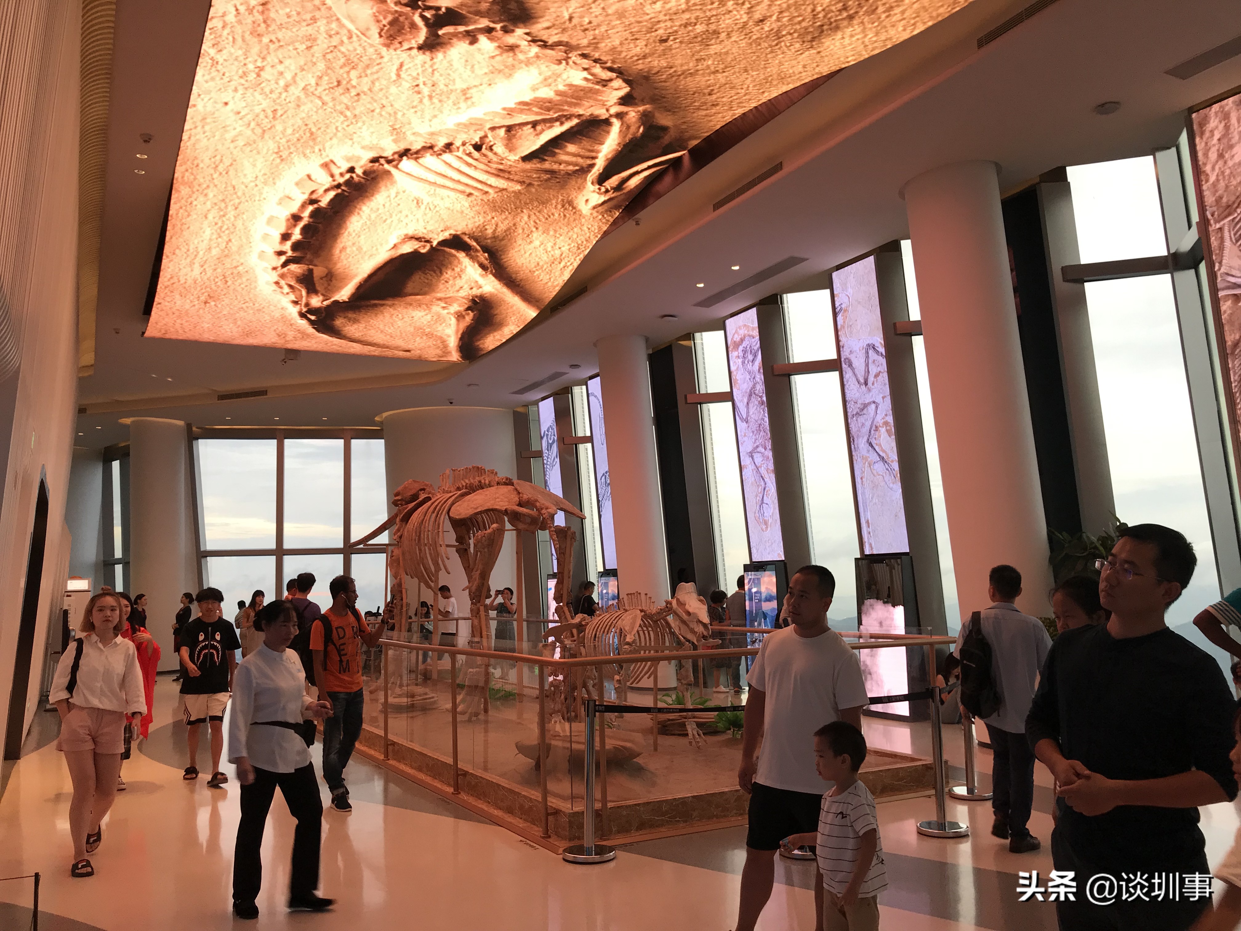 登顶深圳第一高楼,登上深圳平安金融大厦