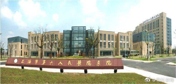 上海第六人民医院康复科招聘,上海第六人民医院运动医学专家