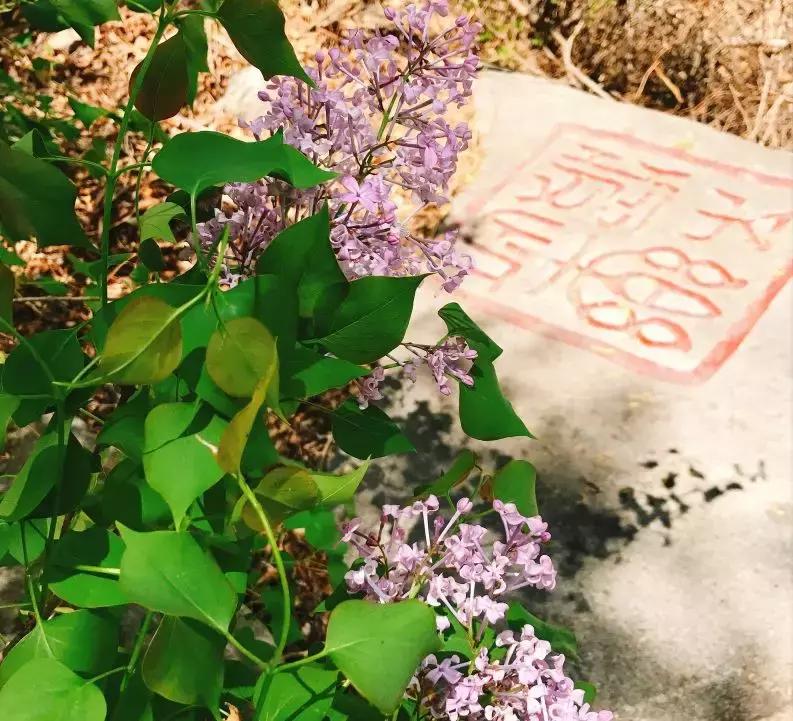 暑假适合避暑又小众的旅游景点,幽谷神潭冬季旅游攻略