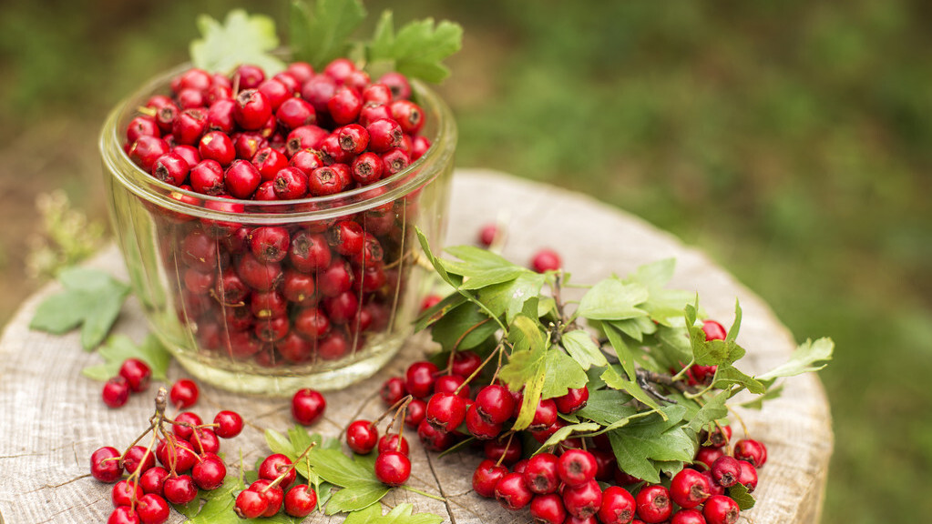 小儿百病积食为先,儿童积食消化不好喝什么中药