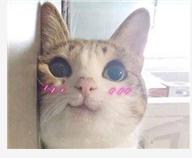 西安幼儿园体检需要什么,西安幼儿园入学体检要带什么