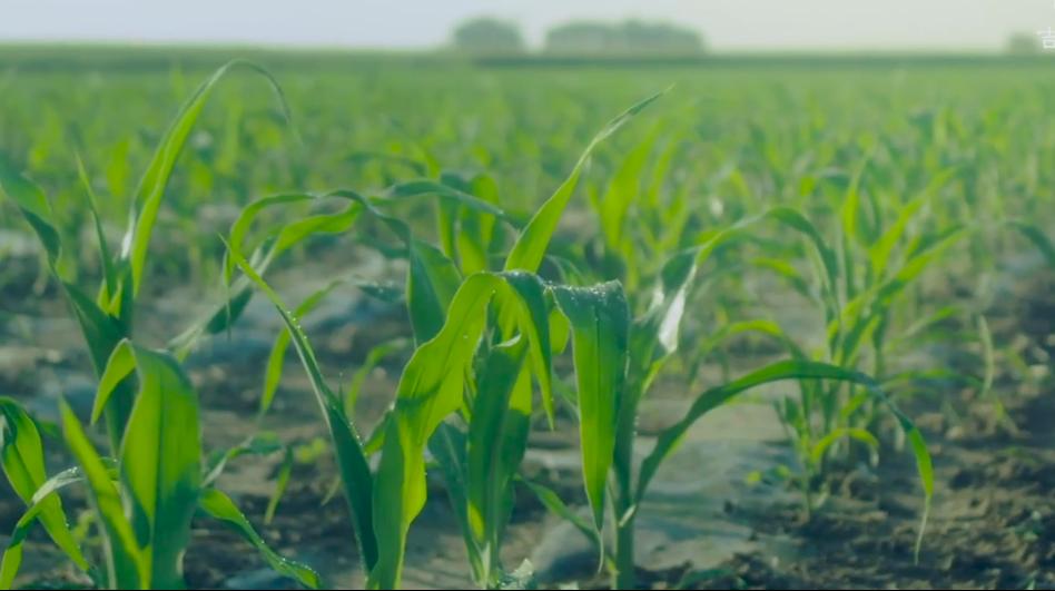 广特播报栏目,广特播报上海