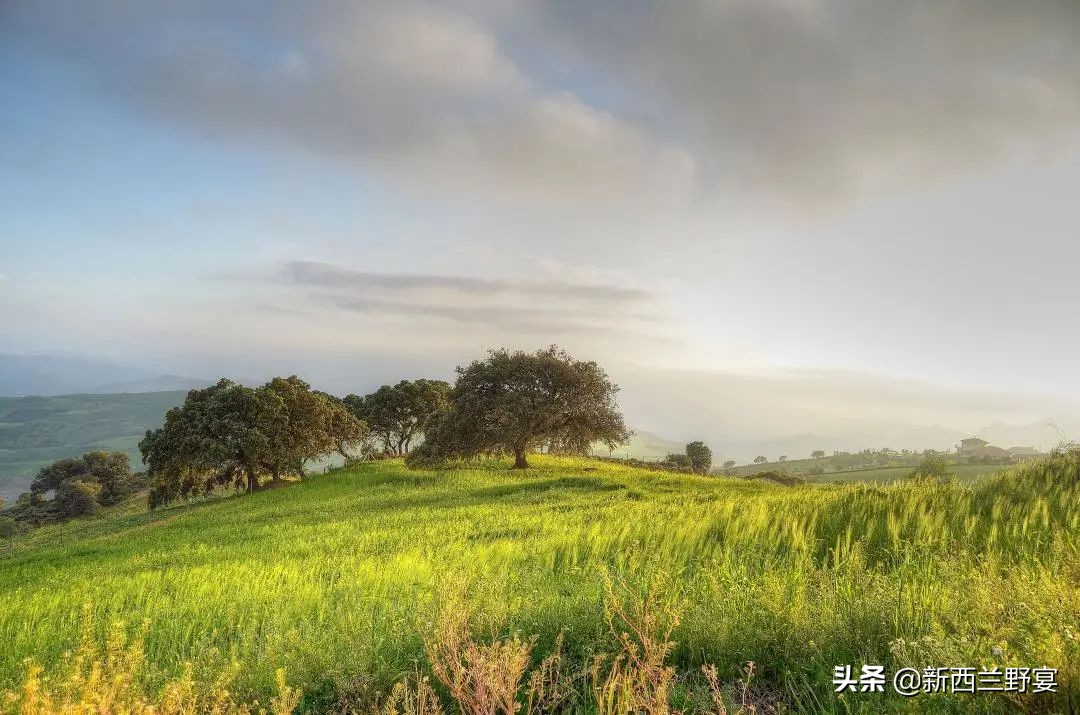 livinwild,livinwild澶滃鐚伯鍜嬫牱