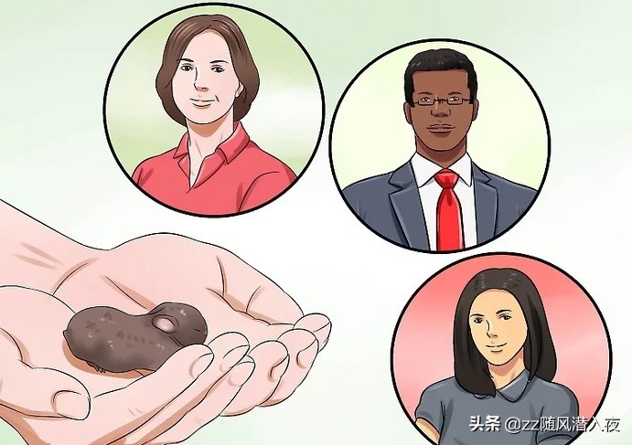 如何照顾怀孕的兔,初生兔子正确照顾方法