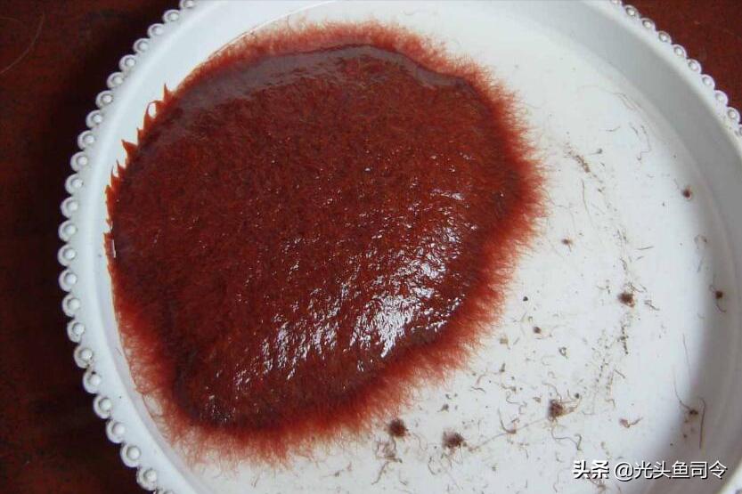 常见几种鱼体寄生虫,鱼类身上肉眼可见的寄生虫