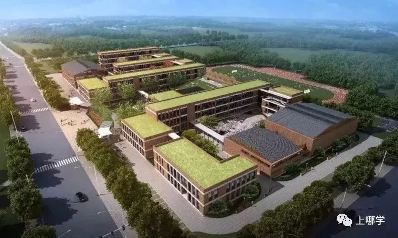 上海市10大新开高校附属学校！背靠复旦大学、华东师范大学等名校