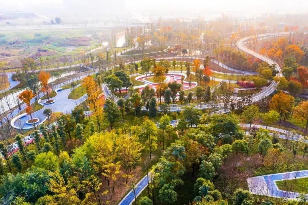 高新区中和直播,高新区中和a区