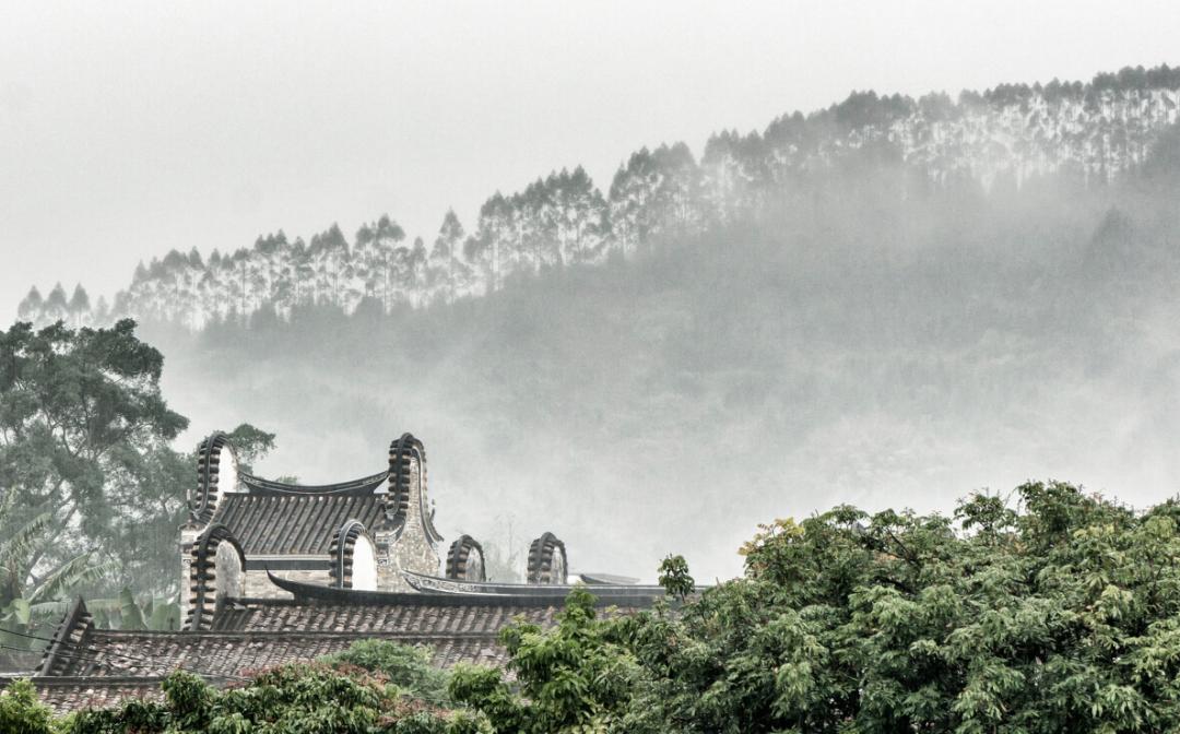 私藏菲律宾同款空中佛手，这座广东小城的落胃美食从早吃到晚