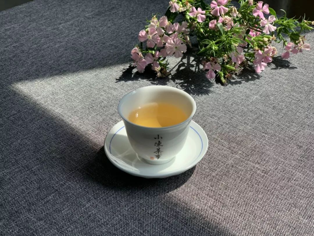泡茶品茶鉴茶,品茶鉴茶的方法