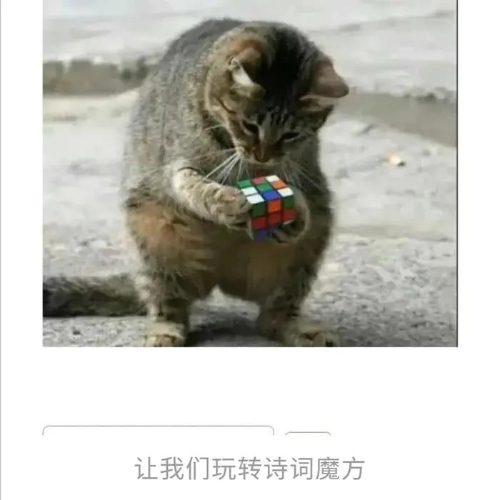 诗词大会第五季文字回放,简书诗词大会第十九期