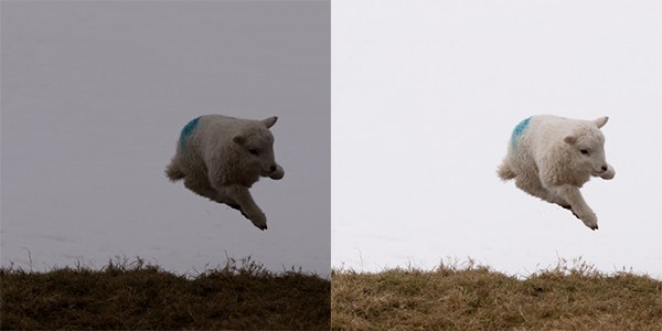 单反相机小白拍照技巧,单反相机场景拍摄技巧