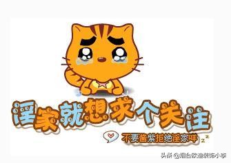 厨房装修十大经典误区,最省钱的装修十大误区