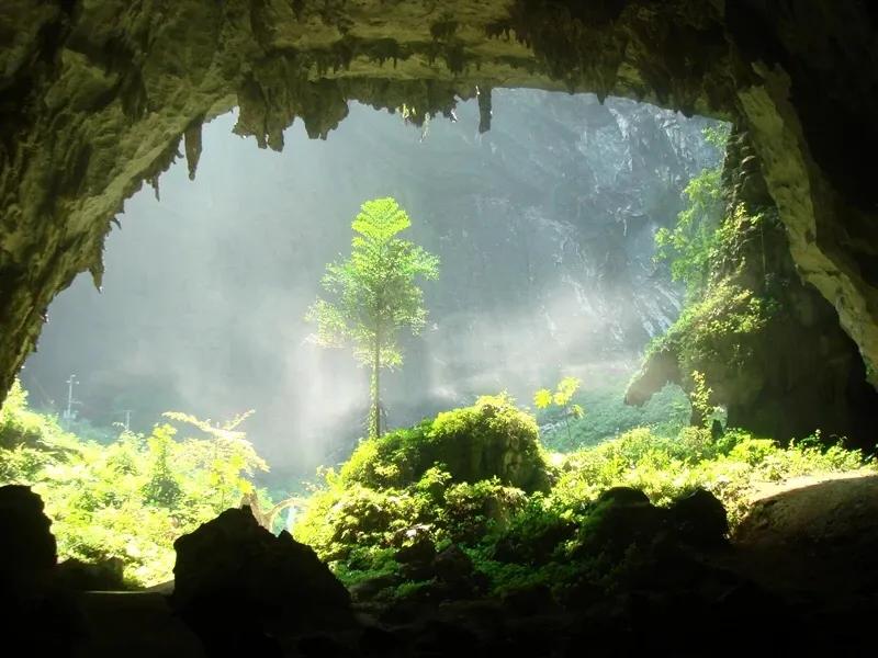 广西巴马旅游宣传方案,广西巴马长寿旅游推介会