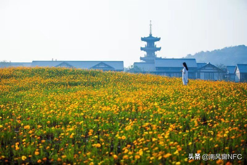 江南的诗歌散文,江南的诗句唯美