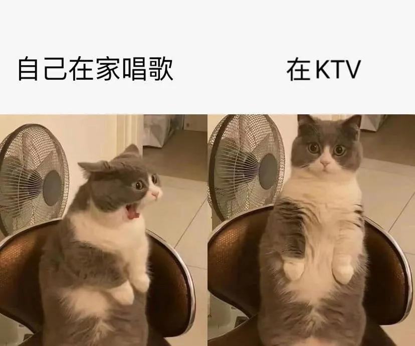 不要总想得到别人对自己的认可,总是在乎别人的眼光怎么解决