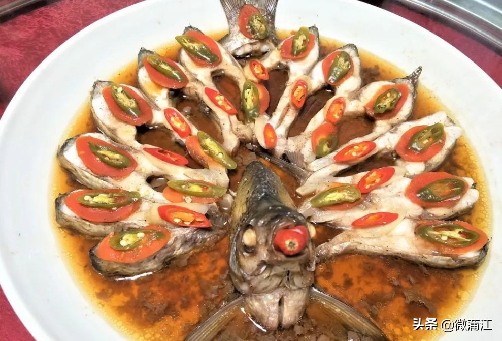 探访深山竹林倍感神清气爽,蒲江遥望雪山感受诗意栖居