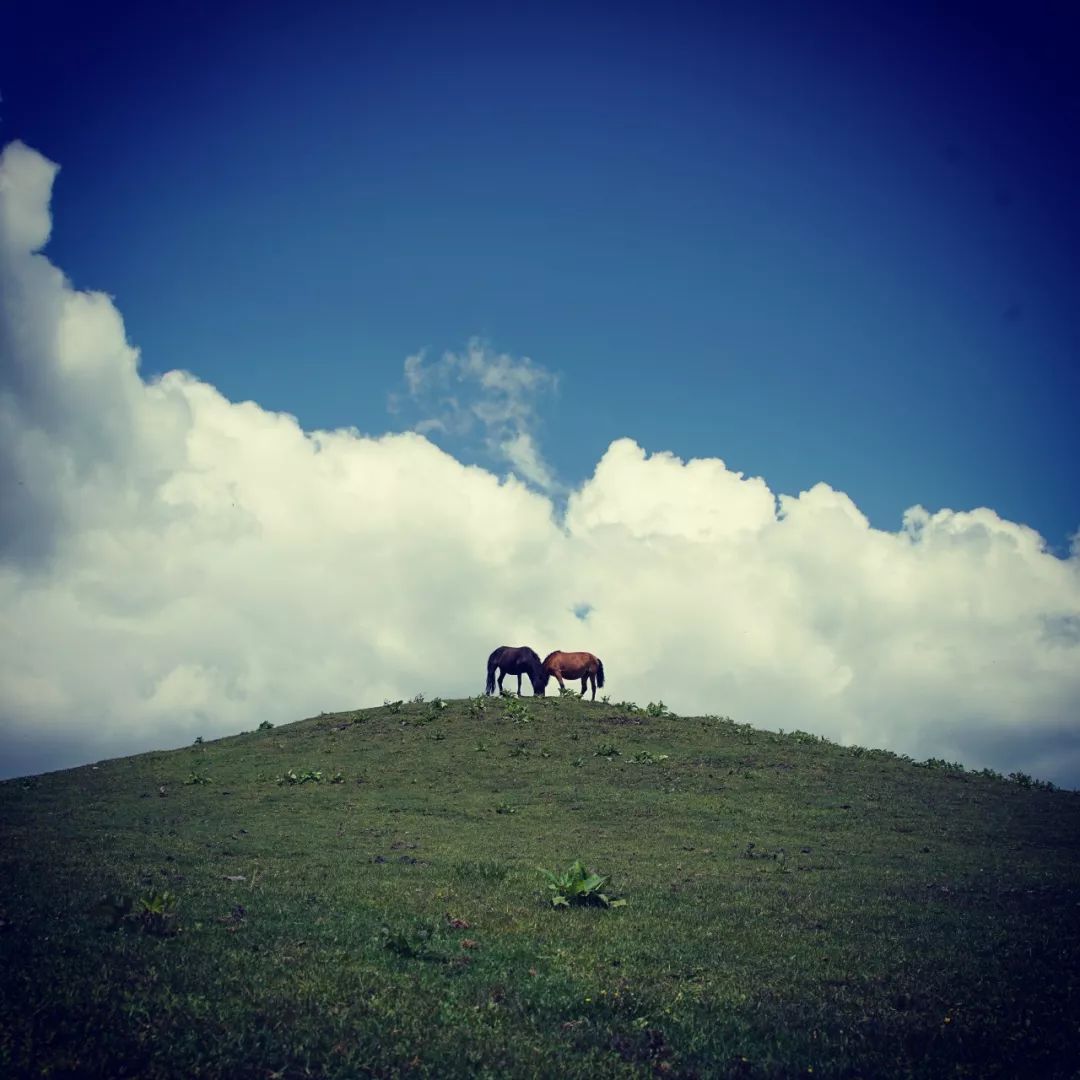 趁放假来一次有意义的旅行,比达瓦更扎更漂亮,关键是免费