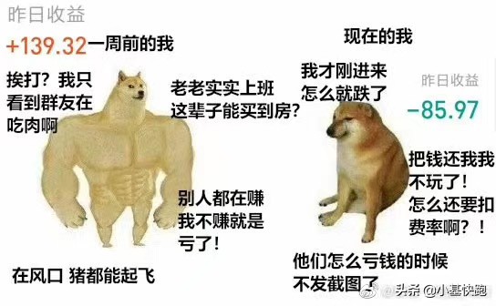 今天股市大跌搞笑段子视频,关于近期股市暴跌的段子